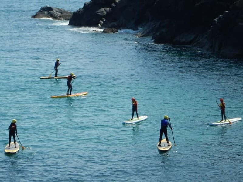 Cornwall: Stand-Up Paddleboarding Adventure on The Lizard - The Itinerary: What You Can Expect