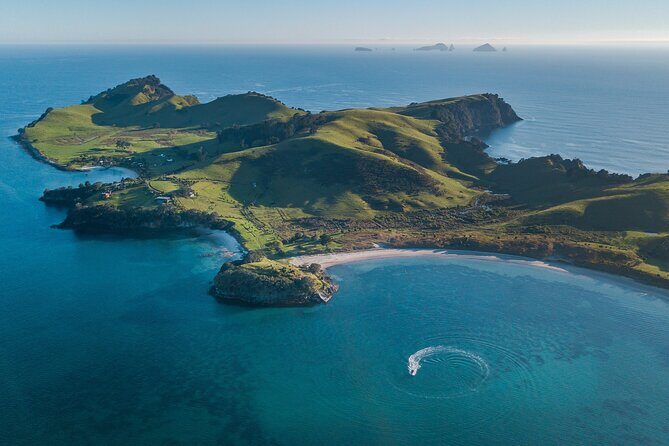 Coromandel Adventure and Wildlife Boat Tour to Aldermen Islands - An Authentic Marine Adventure in Coromandel