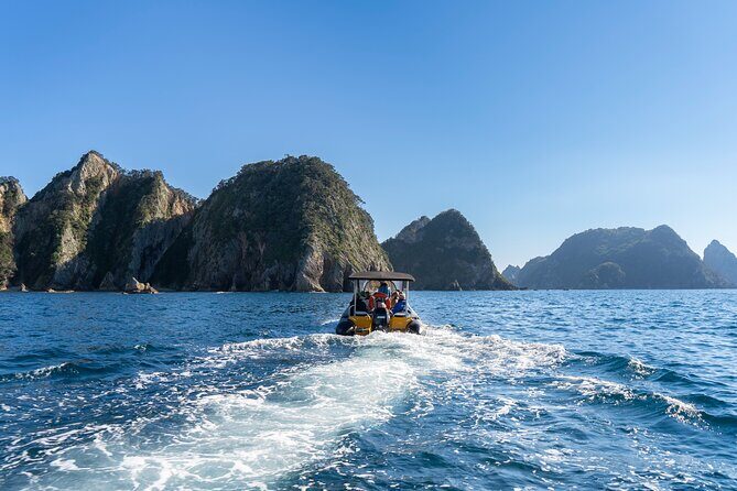 Coromandel Adventure and Wildlife Boat Tour to Aldermen Islands - Practical Considerations
