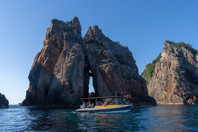 Coromandel Adventure and Wildlife Boat Tour to Aldermen Islands - The Sum Up: A Compact but Memorable Marine Outing