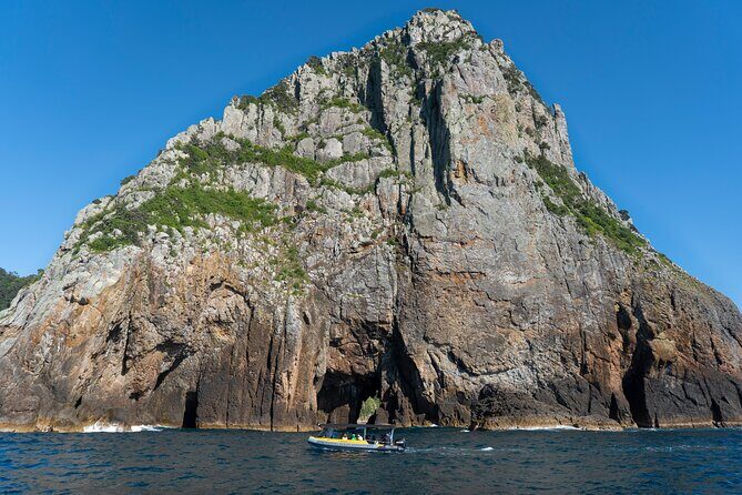 Coromandel Adventure and Wildlife Boat Tour to Aldermen Islands - FAQ