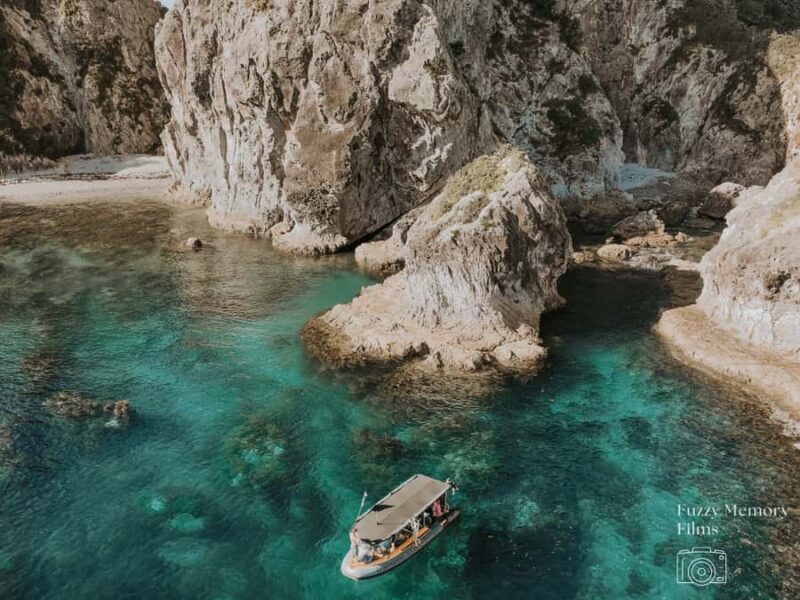 Coromandel: Aldermen Islands Marine Reserve Wildlife Cruise - Key Points