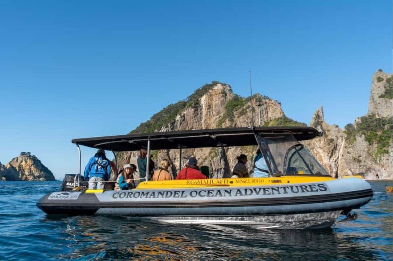 Coromandel: Aldermen Islands Marine Reserve Wildlife Cruise - A Closer Look at the Tours Highlights