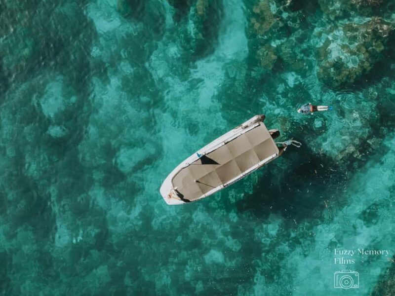 Coromandel: Aldermen Islands Marine Reserve Wildlife Cruise - Value and Practical Tips