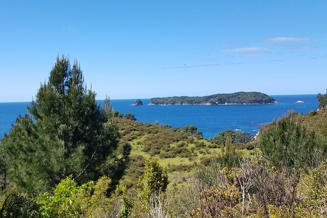 Coromandel Cathedral Cove Walk & Hot Water Beach Day Tour - The Itinerary Breakdown: Making the Most of Your Day