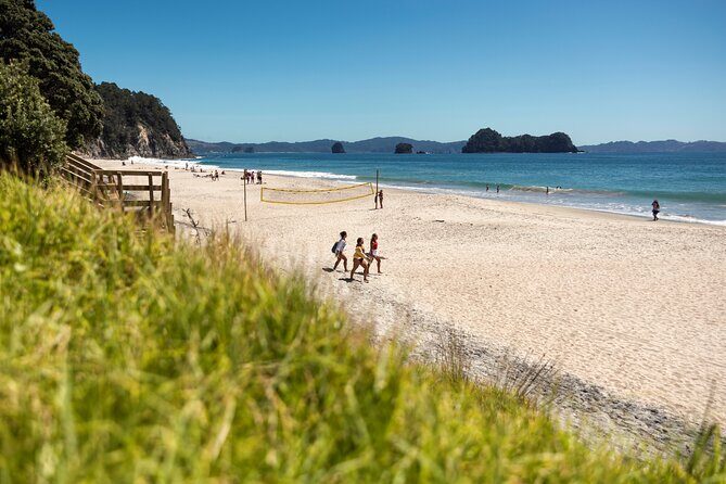 Coromandel Cathedral Cove Walk & Hot Water Beach Day Tour - Authentic Experiences and Practical Insights