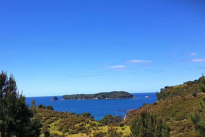 Coromandel Cathedral Cove Walk & Hot Water Beach Day Tour - Analyzing the Value