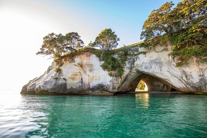 Coromandel Cathedral Cove Walk & Hot Water Beach Day Tour - Who Will Love This Tour?