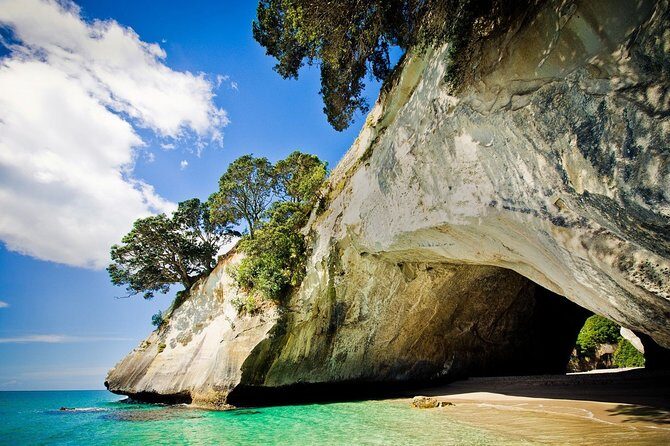 Coromandel Coastal Experience - Small Group Tour from Auckland - An In-Depth Look at the Itinerary and What You’ll Experience
