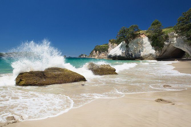 Coromandel Coastal Experience - Small Group Tour from Auckland - The Sum Up: Who Should Consider This Tour?