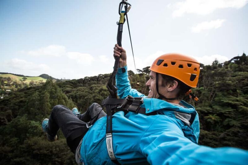 Coromandel: Guided Zipline Tour Experience - Discovering Coromandel’s Native Forests from the Air