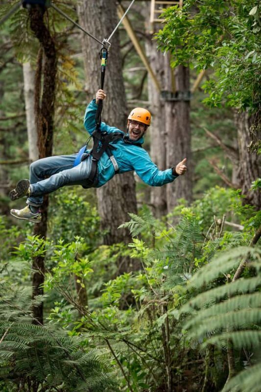 Coromandel: Guided Zipline Tour Experience - Learning Through Nature and History