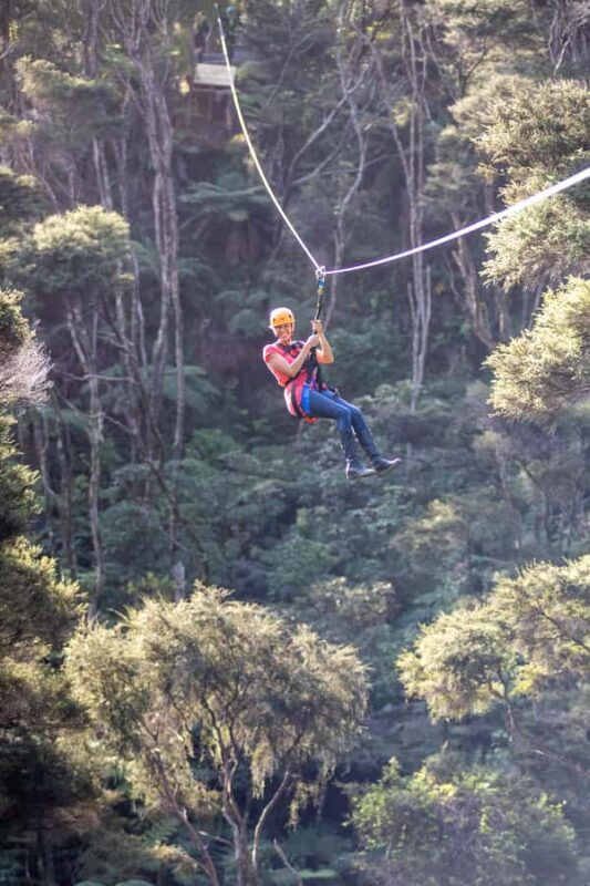 Coromandel: Guided Zipline Tour Experience - What the Reviews Say