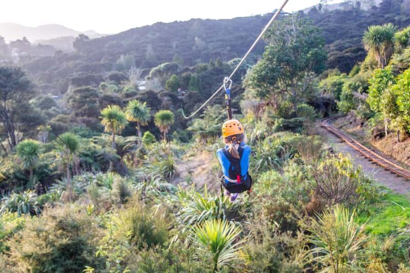 Coromandel: Guided Zipline Tour Experience - The Sum Up