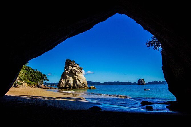 Coromandel Peninsula Discovery - Private Tour From Auckland - Additional Spots and Scenic Drives