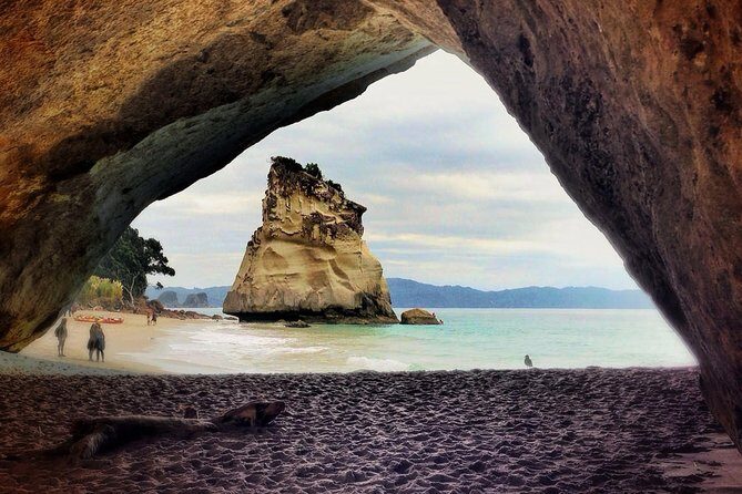 Coromandel Peninsula Discovery - Private Tour From Auckland - The Return to Auckland