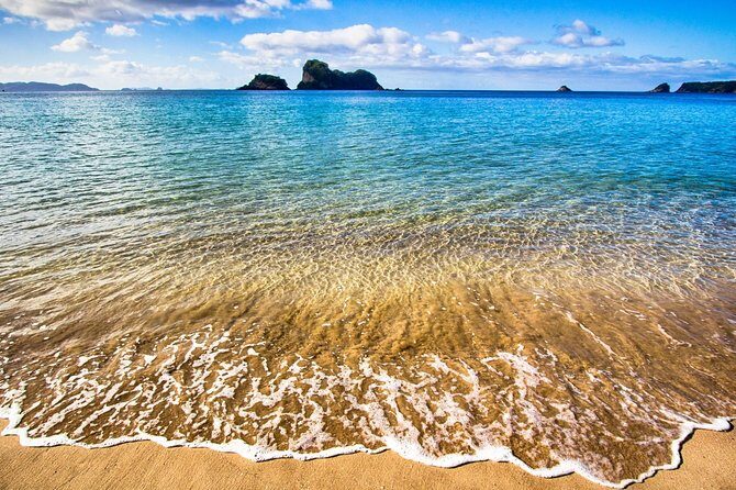 Coromandel Peninsula Discovery - Private Tour From Auckland - Analyzing the Value