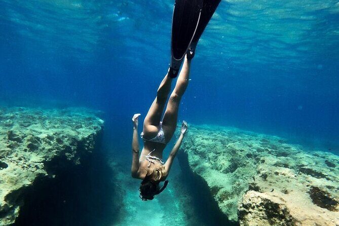 Coron Shipwrecks and Lusong Coral Garden tour (Private / Shared) - Who Should Consider This Tour?