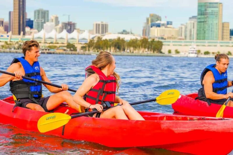 Coronado Guided Kayak Tour 90-Min - What’s the Tour All About?