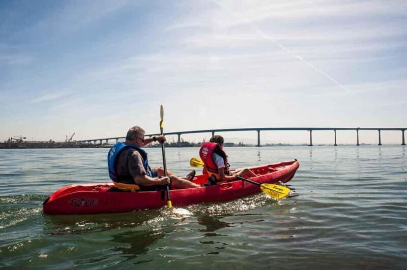 Coronado Guided Kayak Tour 90-Min - Who Should Consider This Tour?