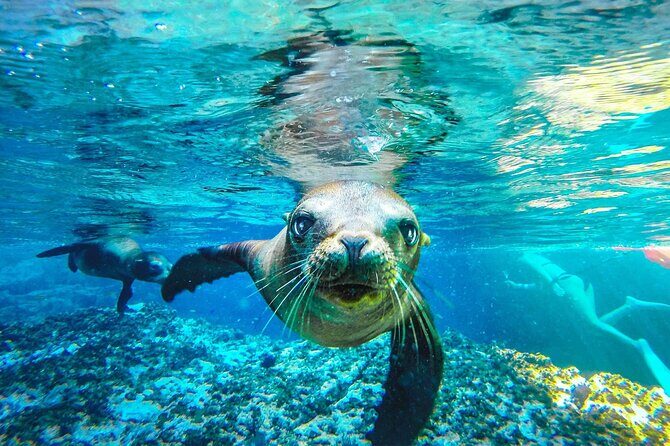 Coronado Island Adventure, snorkeling & picnic on the beach - Exploring the Coronado Island Adventure in Loreto: An In-Depth Review