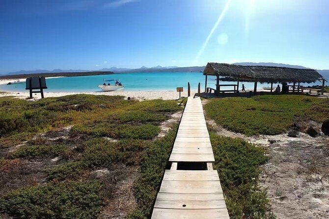 Coronado Island Adventure, snorkeling & picnic on the beach - Final Thoughts: Is This Tour Worth It?