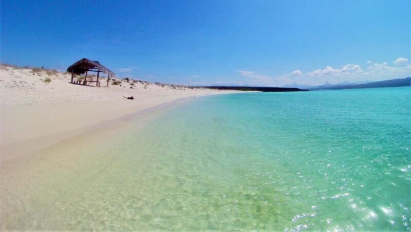 Coronado Island and Snorkel Tour - Key Points