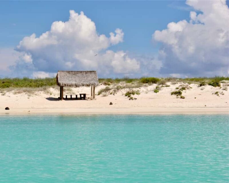 Coronado Island and Snorkel Tour - Why This Tour Might Be Right for You