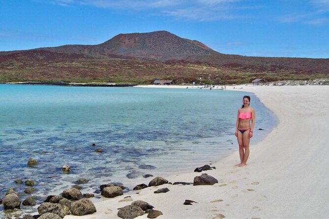 Coronado Island and Snorkel Tour - Key Points