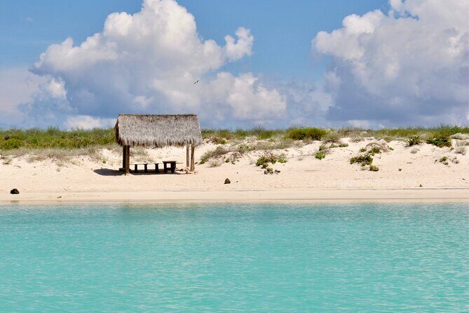 Coronado Island and Snorkel Tour - Detailed Breakdown of the Itinerary