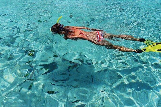 Coronado Island Tour from Loreto - A Deep Dive into the Coronado Island Experience