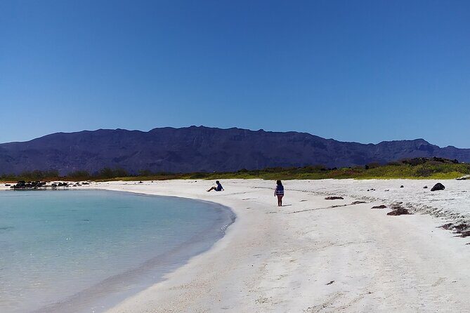 Coronados Island Tour in Loreto Bay - Is This Tour Worth It?