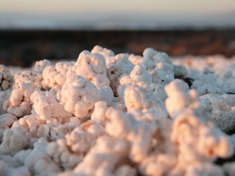 Corralejo: E-Bike Rental with Map to Popcorn Beach - The Value of This Experience