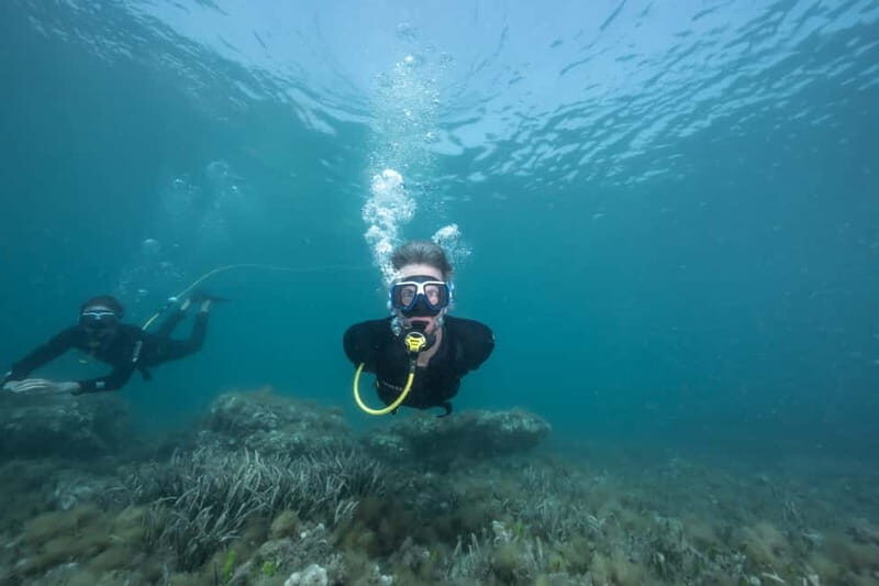 Corralejo: Lobos Island Beginner Dive Boat Tour and Snorkel - The Overall Experience: Diving Into Details