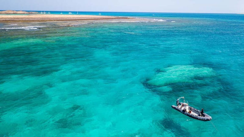 Corralejo: Lobos Island Beginner Dive Boat Tour and Snorkel - The Sum Up: Who Is This Tour Best For?
