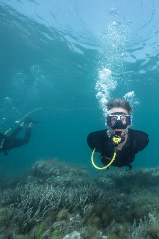 Corralejo: Lobos Island Beginner Dive Boat Tour and Snorkel - FAQs