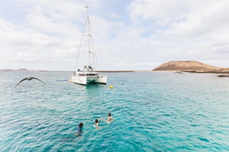 Corralejo: Lobos Island Catamaran Tour with Drinks & Snorkel - Final Thoughts: Who Will Love This Tour?