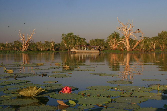 Corroboree Billabong Wetland Cruises - 2 hour Sunset Cruise - Key Points