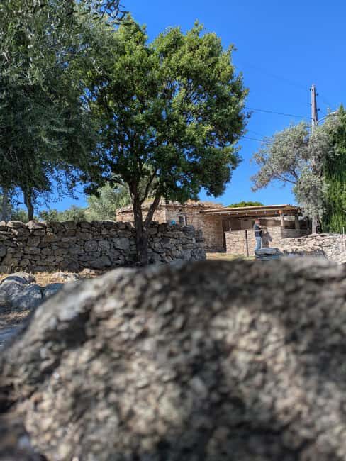 Corsica: Organic wine tasting - First Impressions: A Cozy, Authentic Welcome