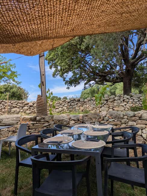 Corsica: Organic wine tasting - Learning Through Tasting