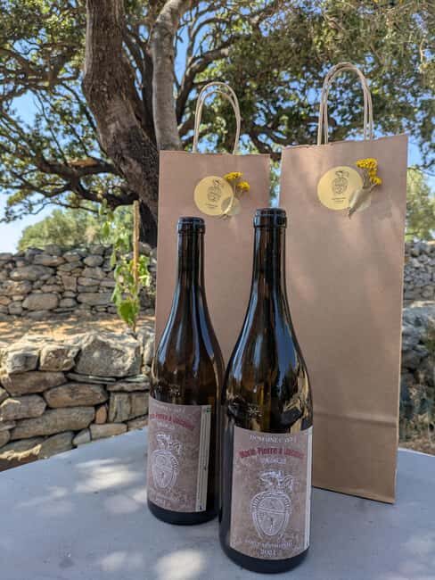 Corsica: Organic wine tasting - Practicalities and Accessibility