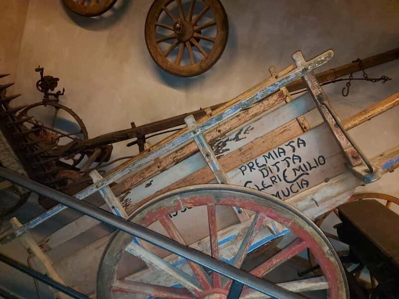 Cortona: Journey Through Time - Key Points
