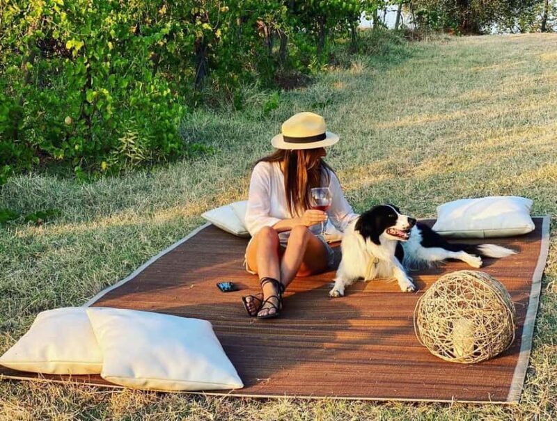 Cortona: Organic wines tasting at Colle Acacia's vineyards - Key Points