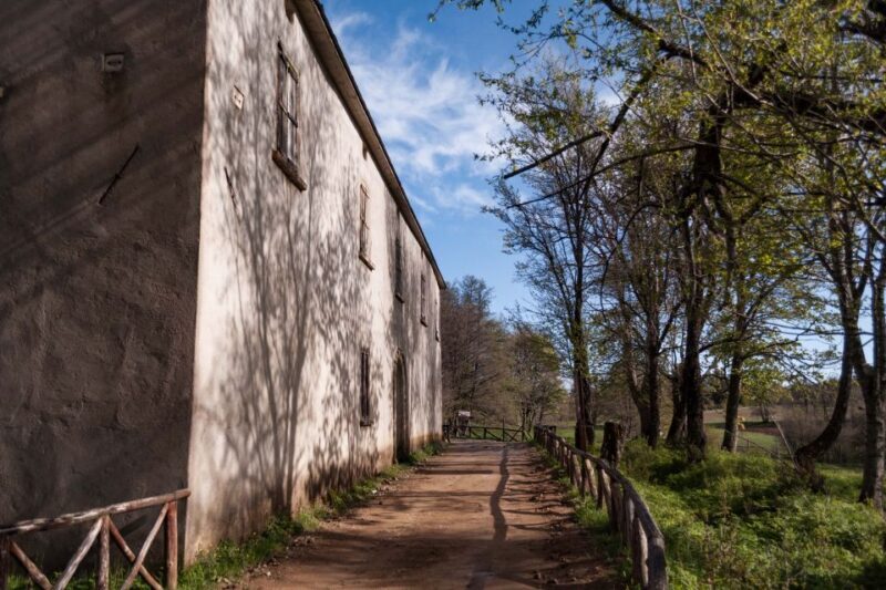 Cosenza: Giants of the Sila - Is this tour right for you?