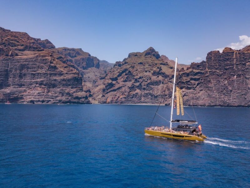 Costa Adeje: Masca and Los Gigantes Whale Watching Cruise - An In-Depth Look at the Experience