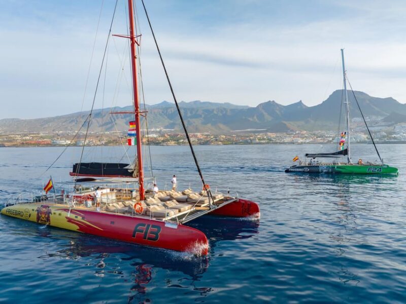 Costa Adeje: Masca and Los Gigantes Whale Watching Cruise - Potential Drawbacks