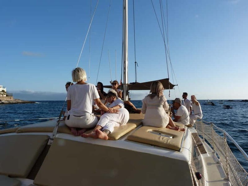 Costa Adeje: Private Catamaran Tour 22 Persons Max - Key Points