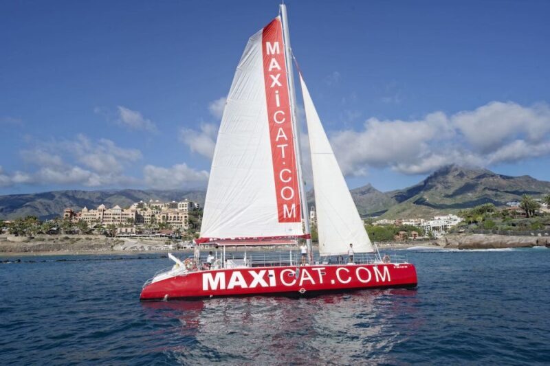 Costa Adeje: Whale and Dolphin Cruise with Food and Pickup - Key Points