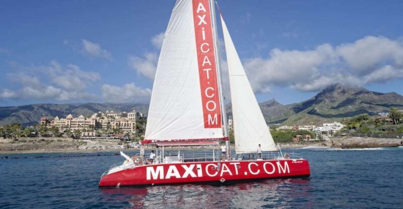 Costa Adeje: Whale and Dolphin Cruise with Food and Pickup - A Detailed Look at the Experience