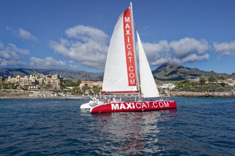 Costa Adeje: Whale and Dolphin Cruise with Food and Pickup - The Sum Up